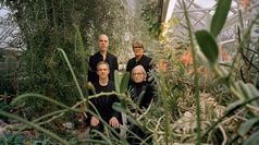 Element Of Crime