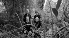 Element Of Crime