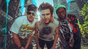 Too Many Zooz